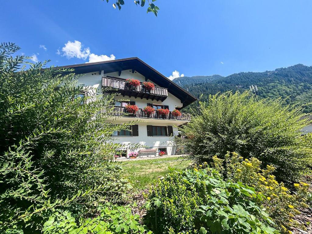 Haus Netzer Elisabeth Appartement Sankt Gallenkirch Buitenkant foto